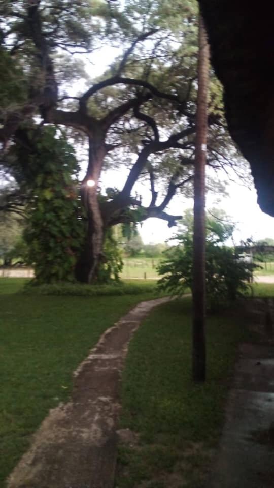 Camp Hogo Kavango รุนดู ภายนอก รูปภาพ